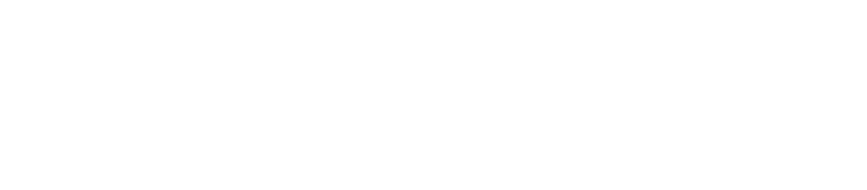express tax services logo